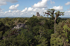 Tikal, Templo V